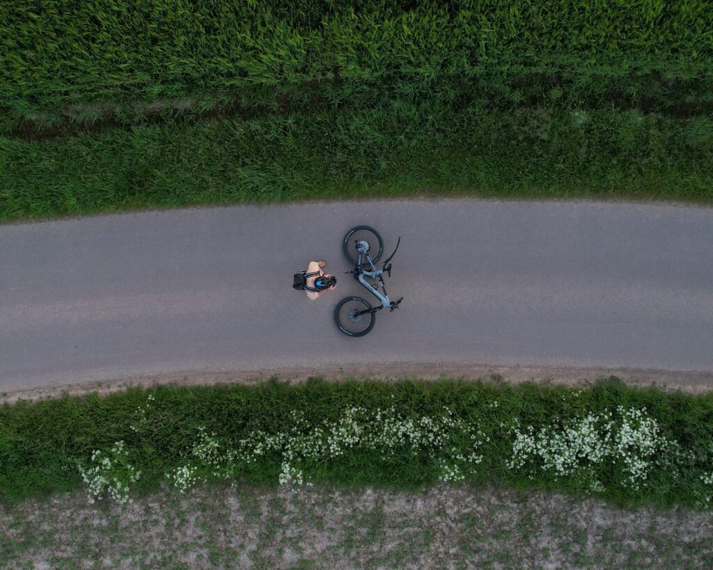 mori m zgy1ejy1obk unsplash